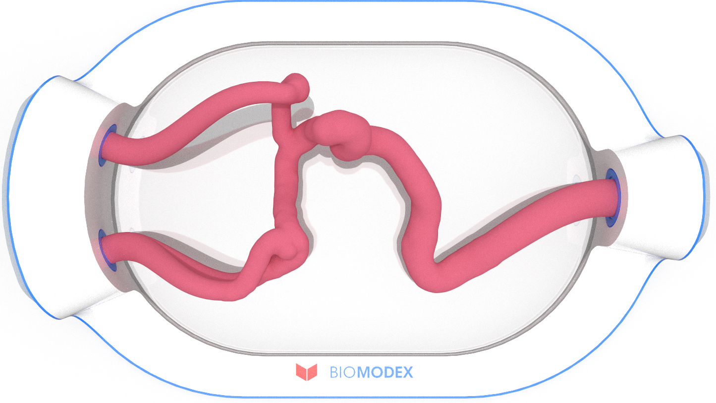 EVIAS -HMS -Cartridge - #0546