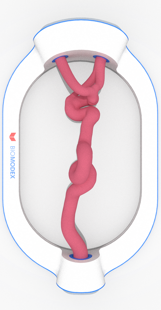 EVIAS -ISS -Cartridge - #0006