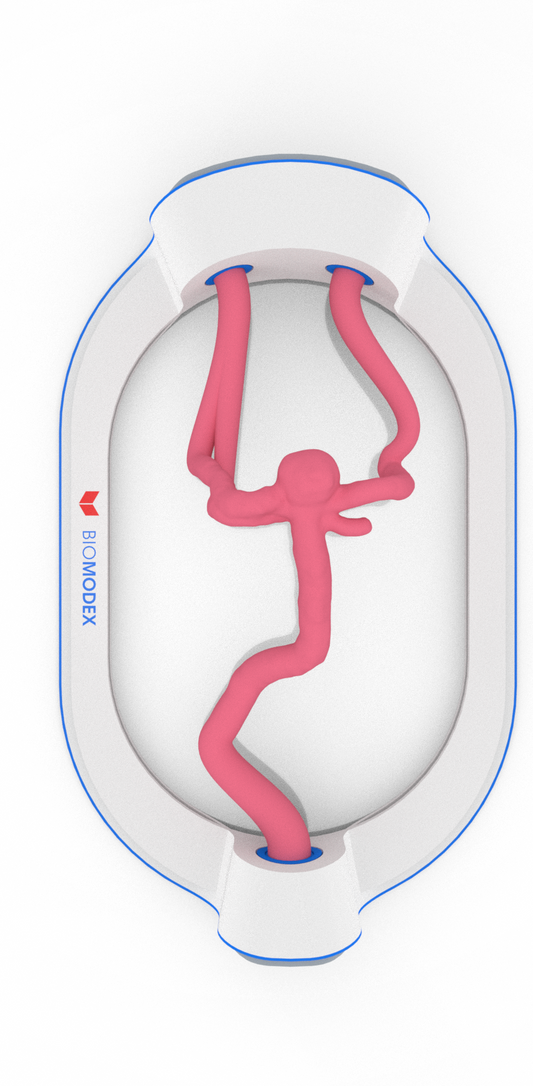 EVIAS -HMS -Cartridge - #0451