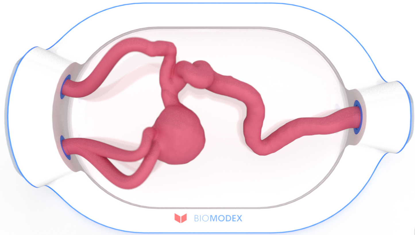 EVIAS -HMS -Cartridge - #0734