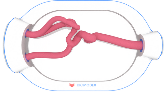 EVIAS -HMS -Cartridge - #0602