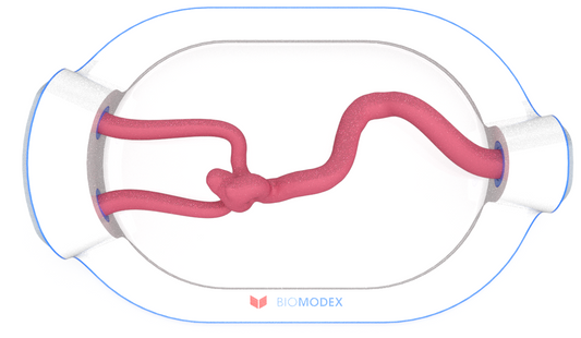 EVIAS -HMS -Cartridge - #0646