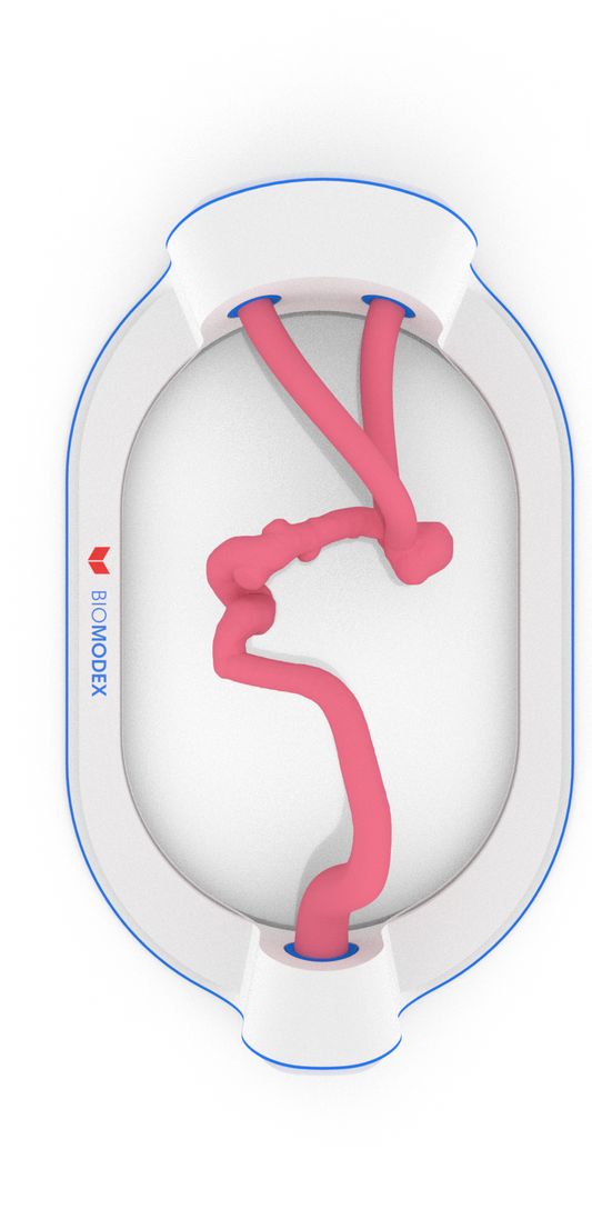 EVIAS -HMS -Cartridge - #10
