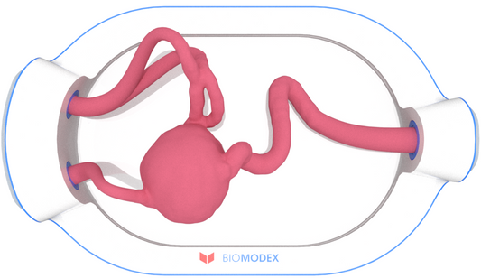 EVIAS -HMS -Cartridge - #0597