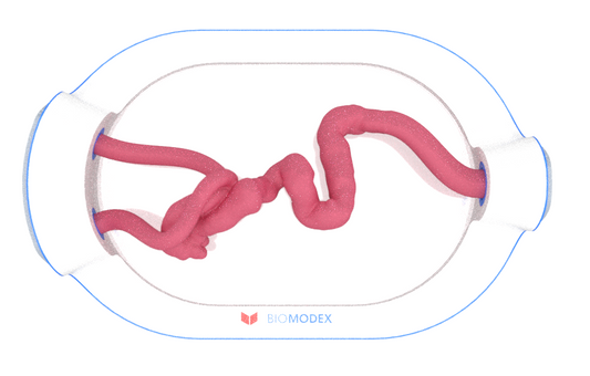 EVIAS -HMS -Cartridge - #0663