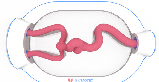 EVIAS -HMS -Cartridge - #0555