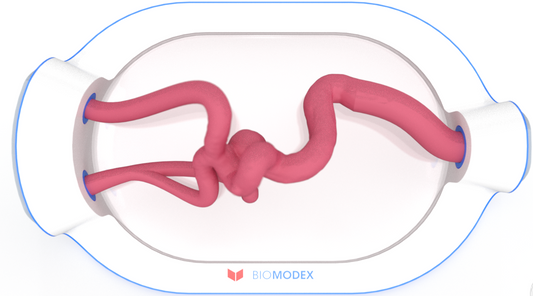 EVIAS -HMS -Cartridge - #0520