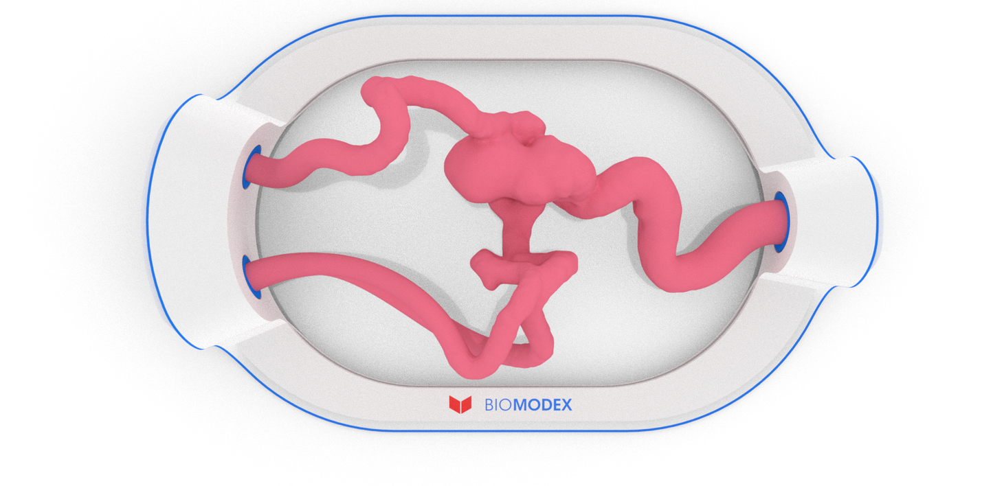 EVIAS -HMS -Cartridge - #53