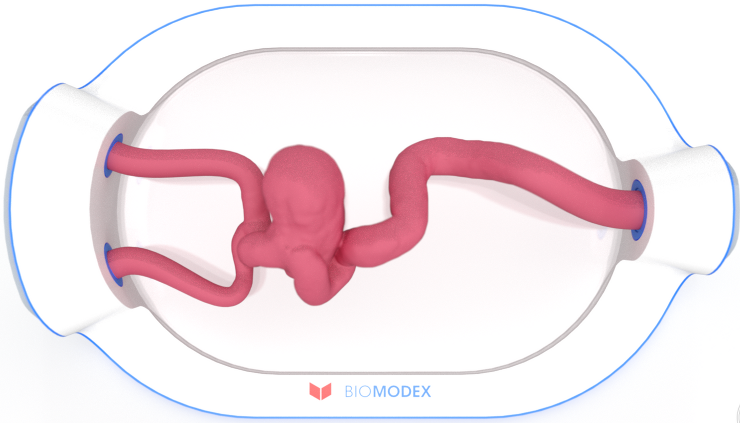 EVIAS -HMS -Cartridge - #0737