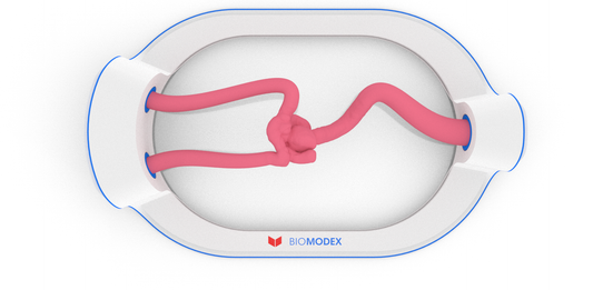 EVIAS -HMS -Cartridge - #29