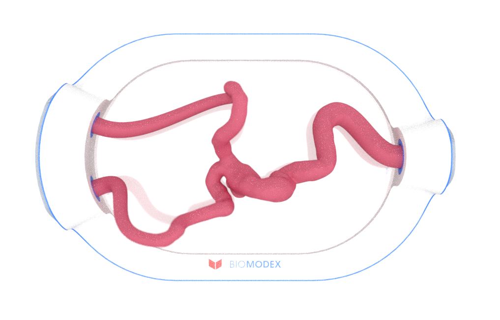 EVIAS -HMS -Cartridge - #0679