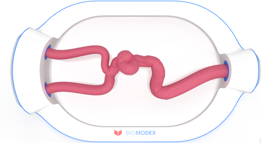 EVIAS -HMS -Cartridge - #0749