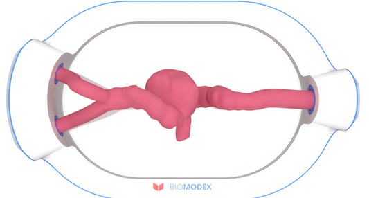 EVIAS -HMS -Cartridge - #0575