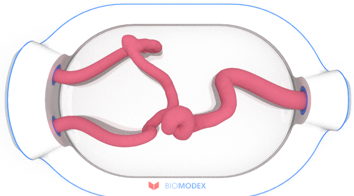 EVIAS -HMS -Cartridge - #0549