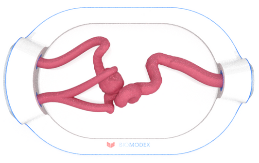 EVIAS -HMS -Cartridge - #0678