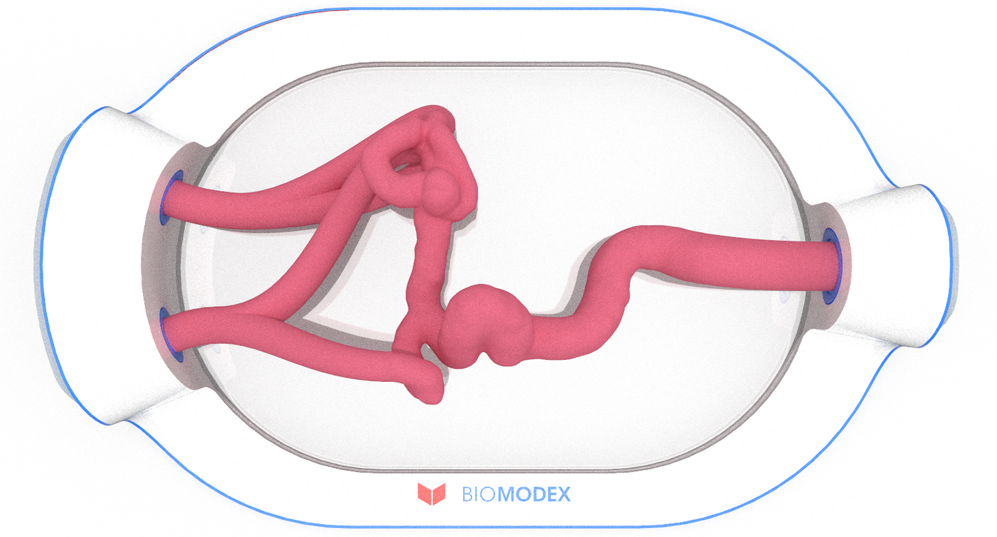 EVIAS -HMS -Cartridge - #0531