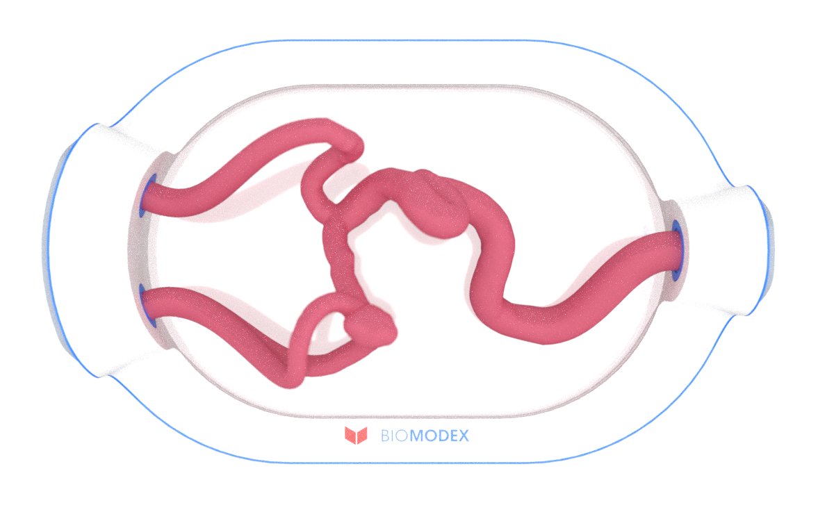 EVIAS -HMS -Cartridge - #0684