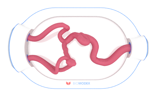 EVIAS -HMS -Cartridge - #0684