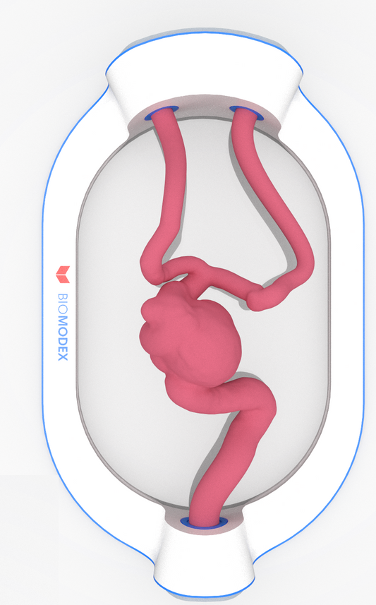 EVIAS -HMS -Cartridge - #0469