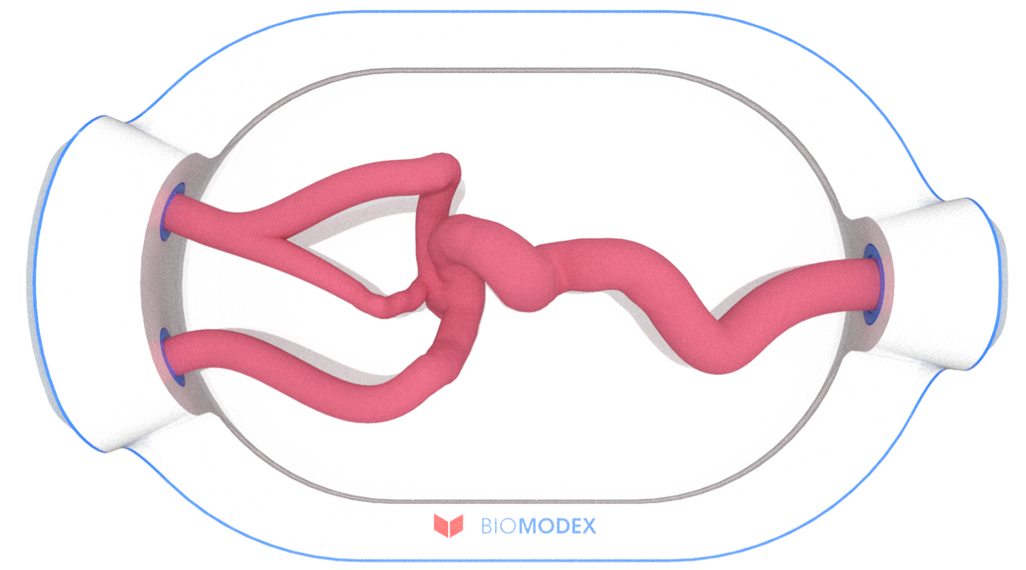 EVIAS -HMS -Cartridge - #0590