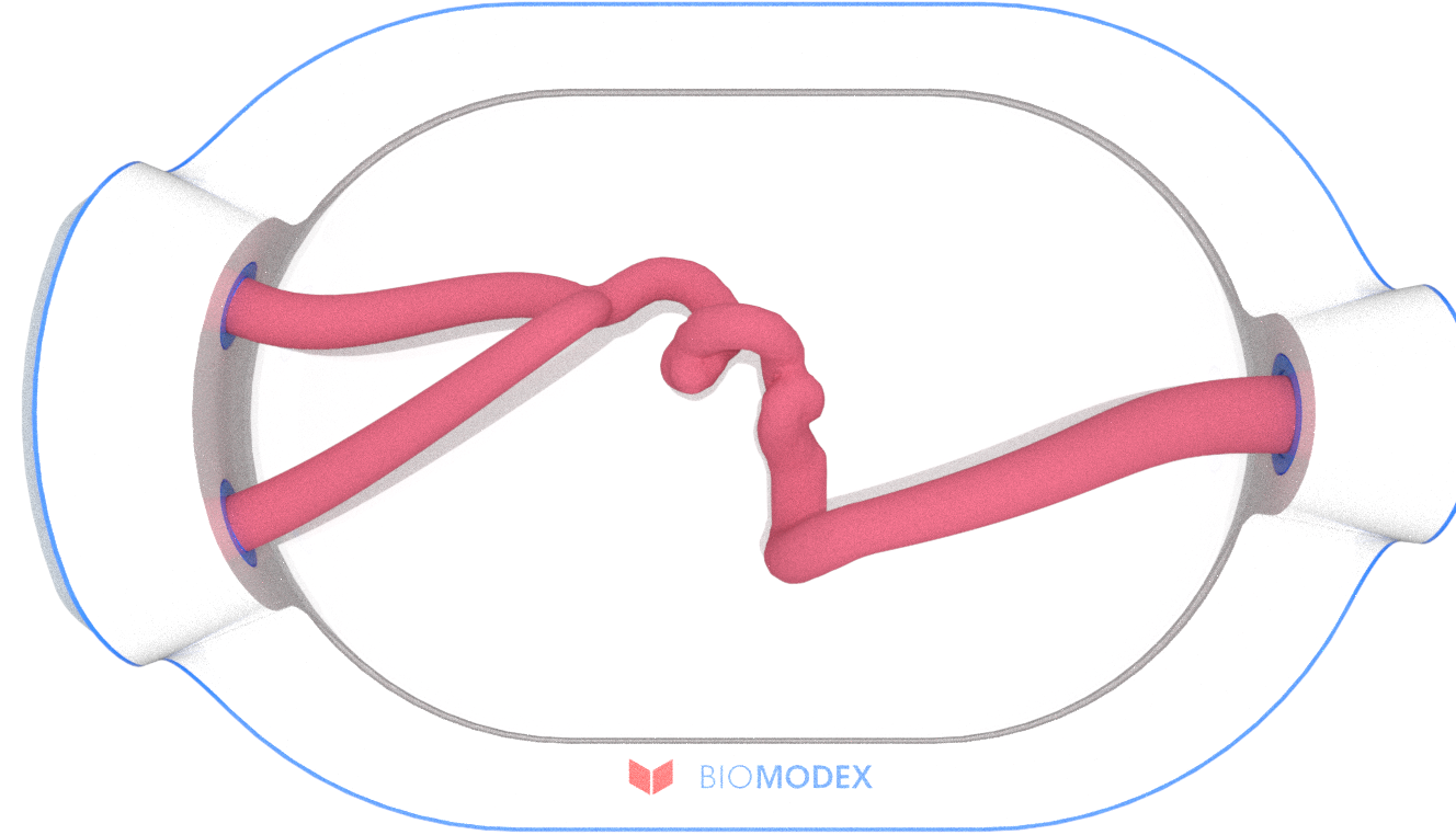 EVIAS -HMS -Cartridge - #0607