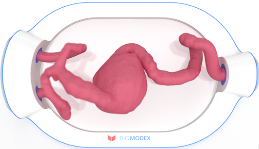 EVIAS -HMS -Cartridge - #0487