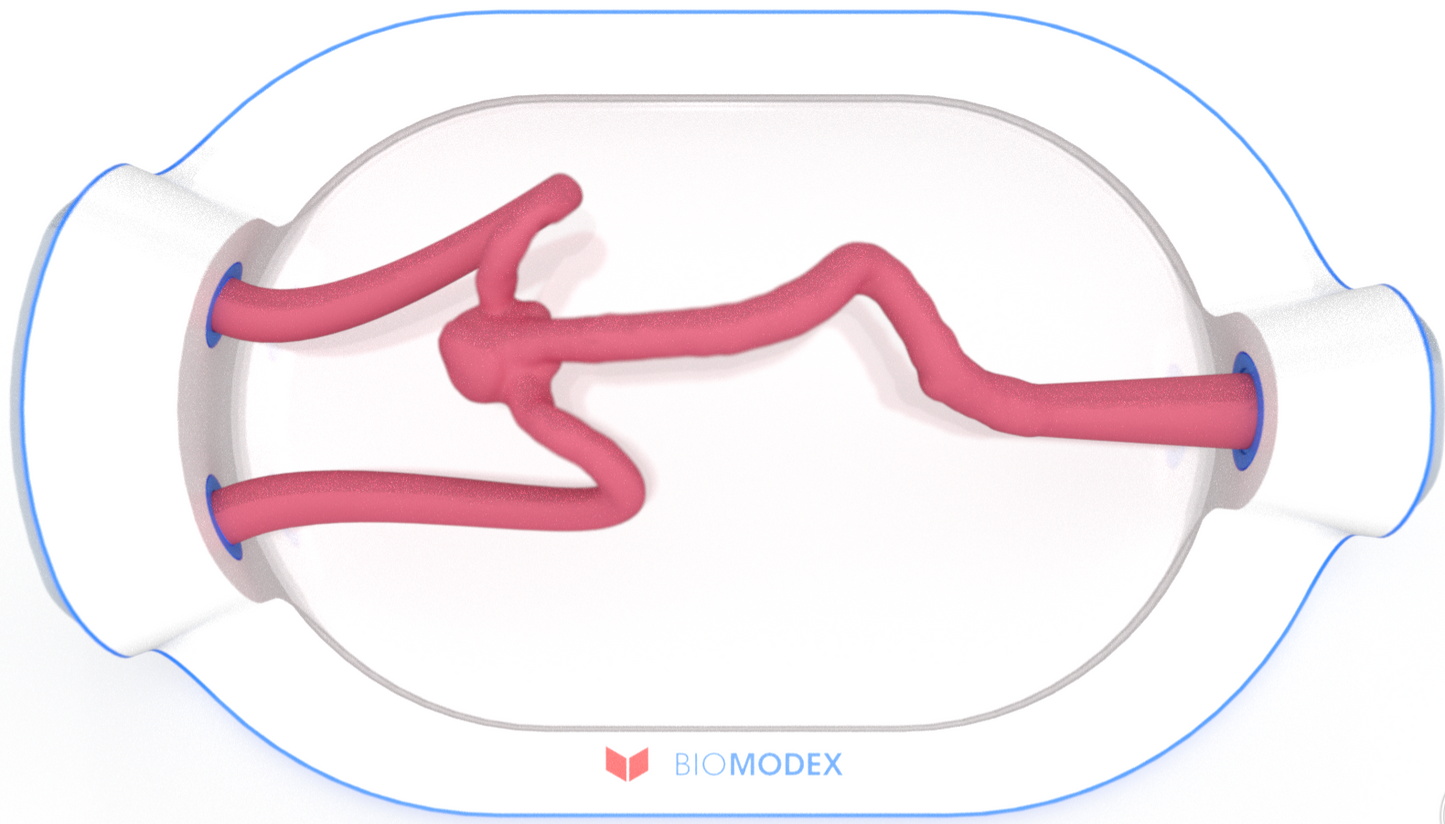 EVIAS -HMS -Cartridge - #0750