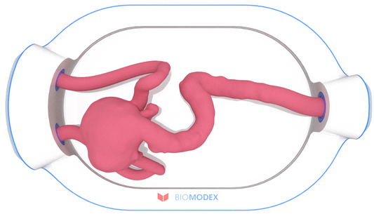 EVIAS -HMS -Cartridge - #0580