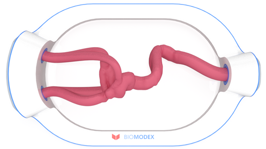 EVIAS -HMS -Cartridge - #0652