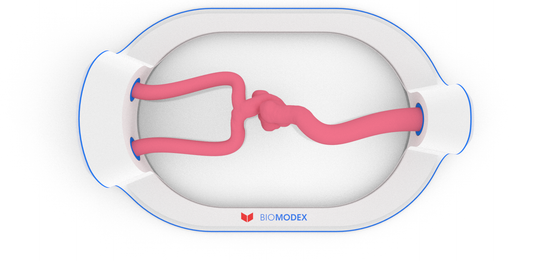 EVIAS -HMS -Cartridge - #26