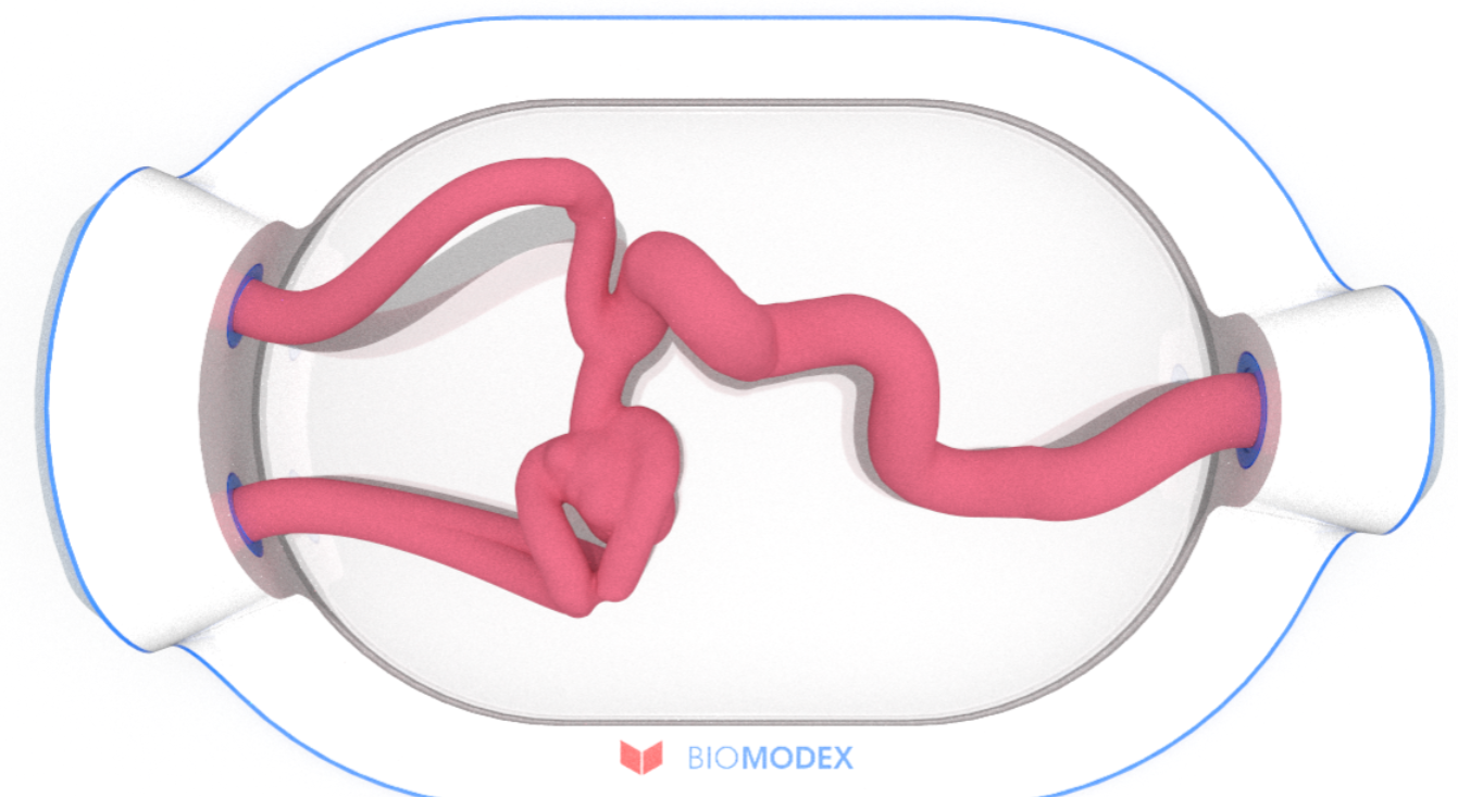 EVIAS -HMS -Cartridge - #0541