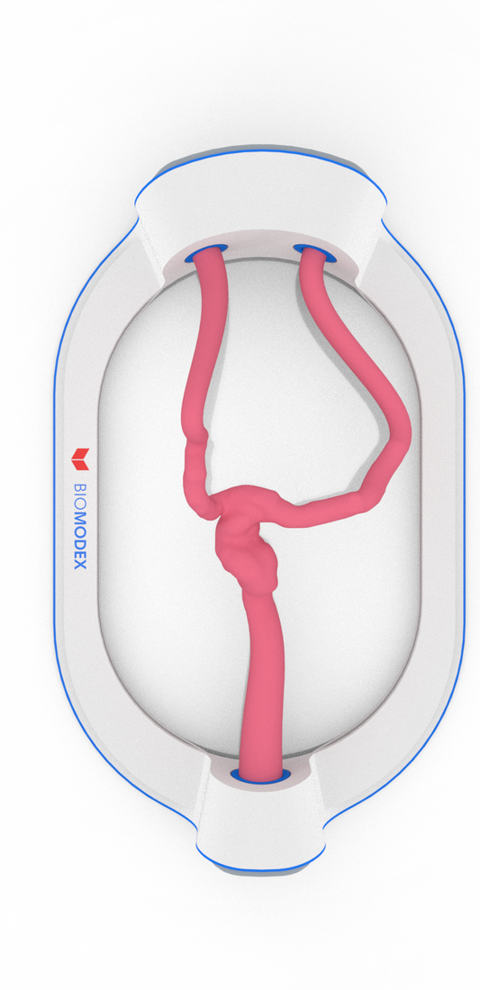 EVIAS -HMS -Cartridge - #302