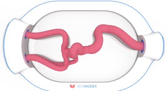 EVIAS -HMS -Cartridge - #0560