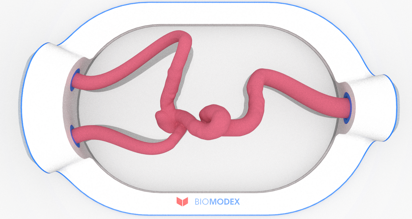 EVIAS -HMS -Cartridge - #0522