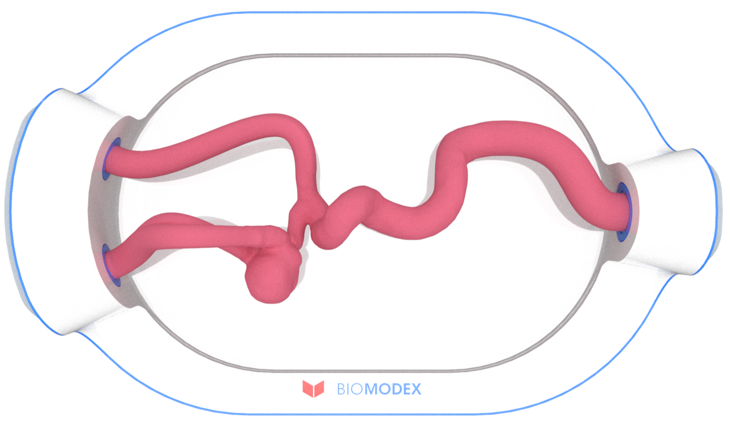 EVIAS -HMS -Cartridge - #0603