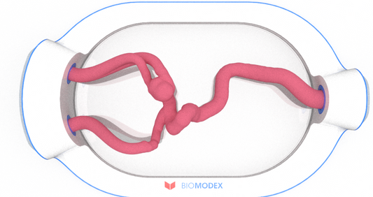 EVIAS -HMS -Cartridge - #0558