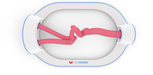 EVIAS -HMS -Cartridge - #9