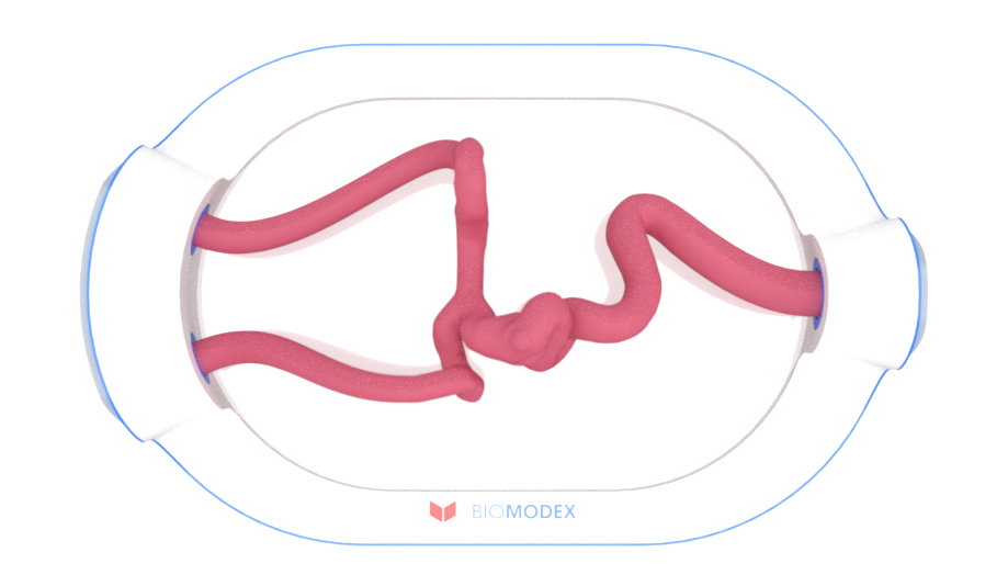 EVIAS -HMS -Cartridge - #0681