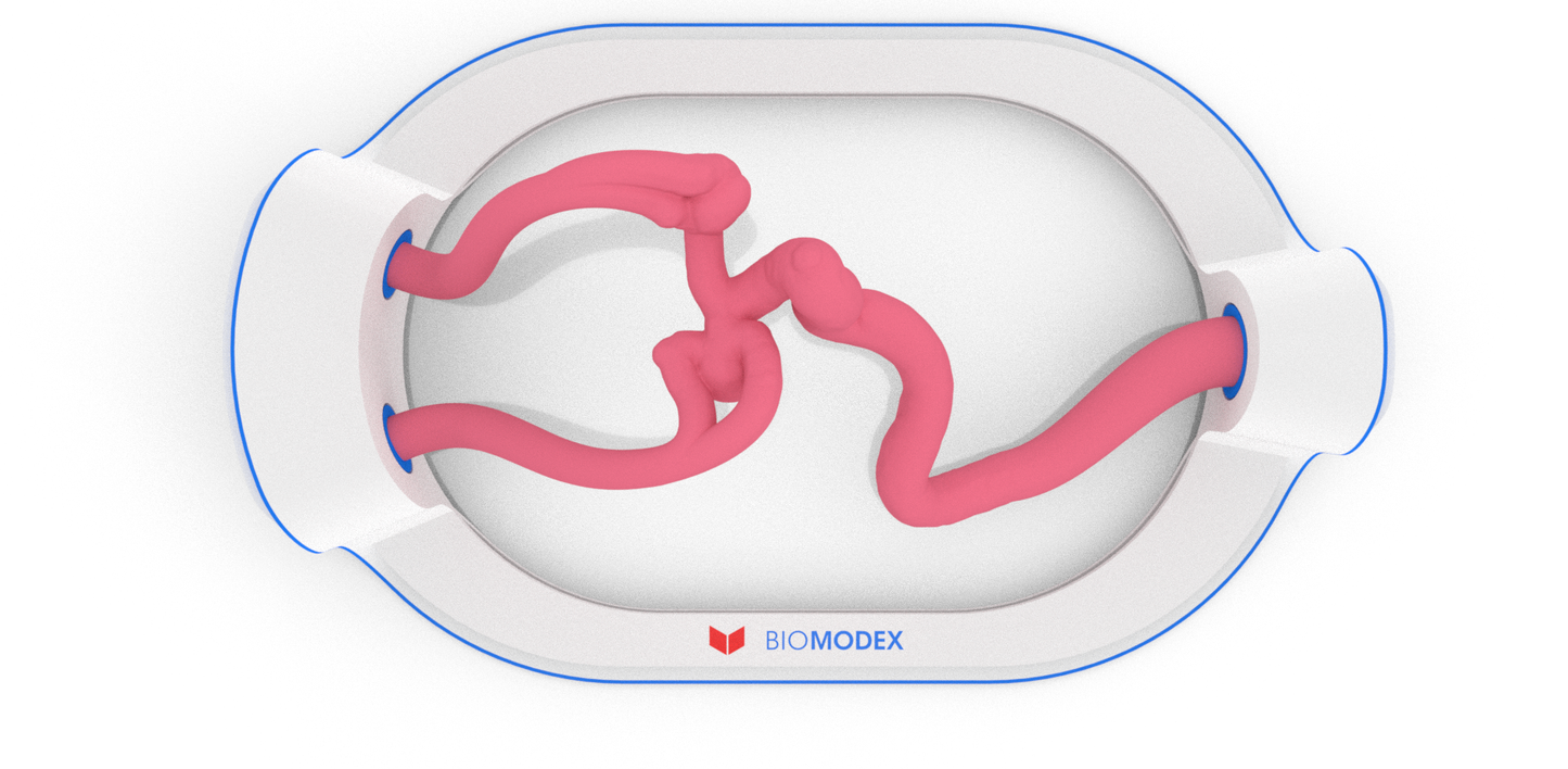 EVIAS -HMS -Cartridge - #36