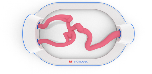 EVIAS -HMS -Cartridge - #36