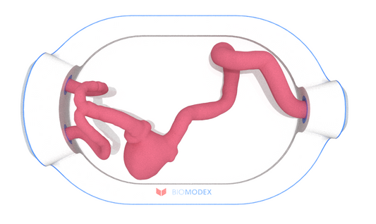 EVIAS -HMS -Cartridge - #0609