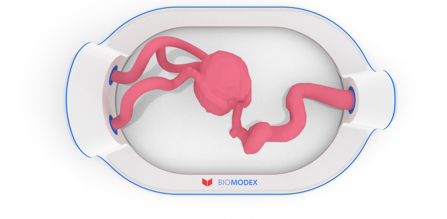 EVIAS -HMS -Cartridge - #55