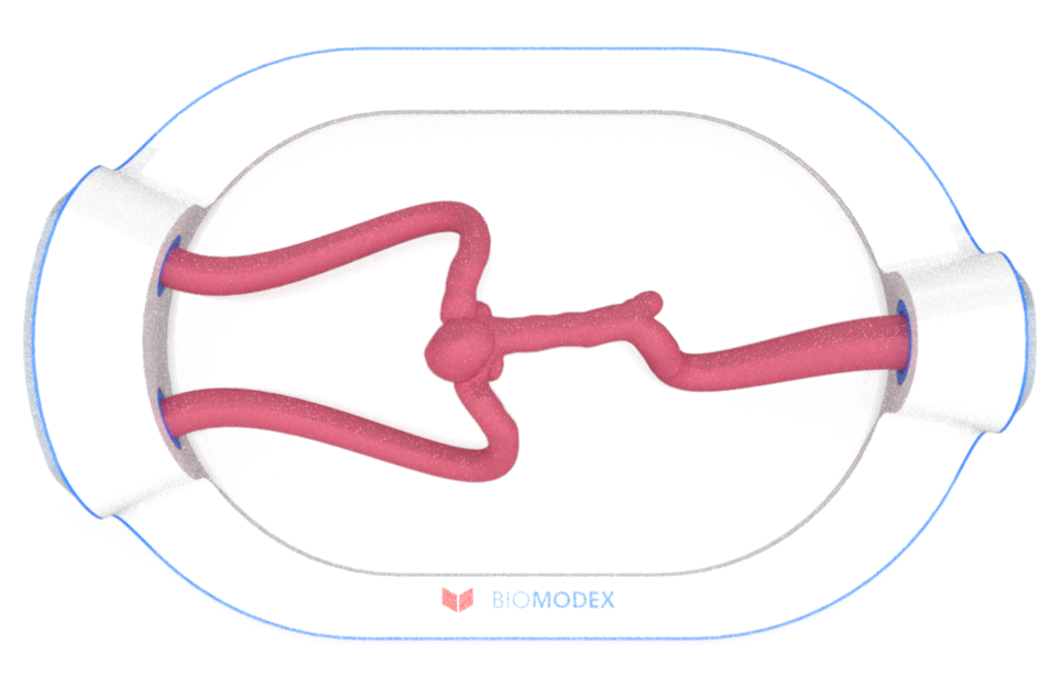 EVIAS -HMS -Cartridge - #0672