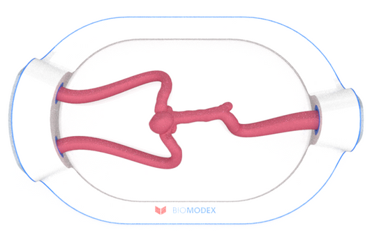 EVIAS -HMS -Cartridge - #0672