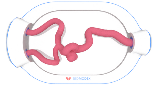 EVIAS -HMS -Cartridge - #0578