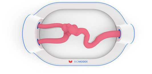 EVIAS -HMS -Cartridge - #19