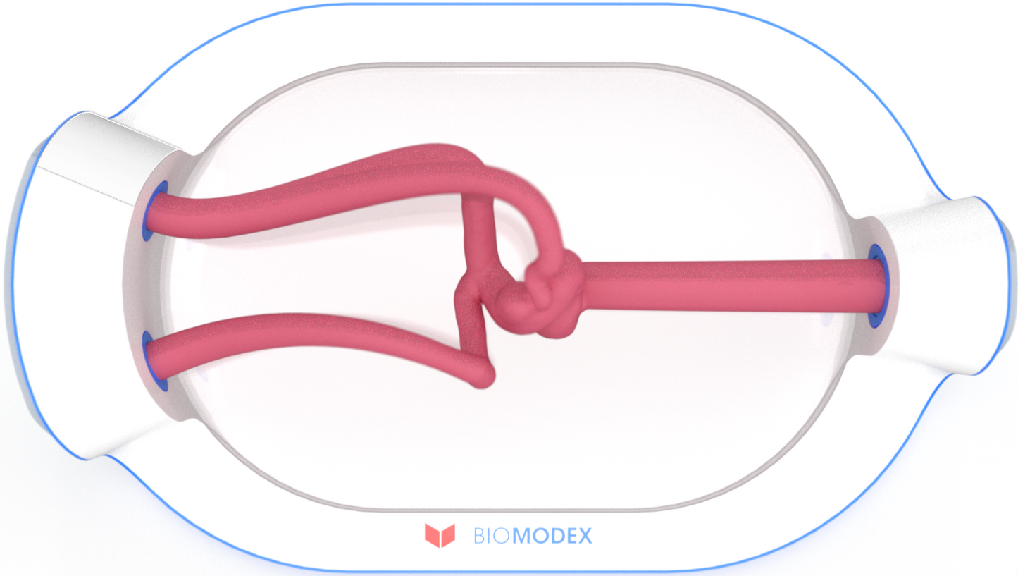 EVIAS -HMS -Cartridge - #0718