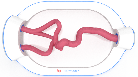 EVIAS -HMS -Cartridge - #0705