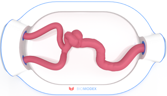 EVIAS -HMS -Cartridge - #0719