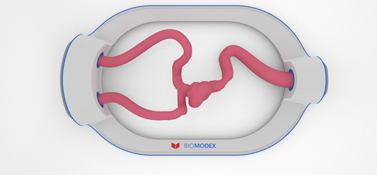 EVIAS -HMS -Cartridge - #92